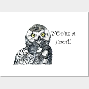 You're a hoot! Posters and Art